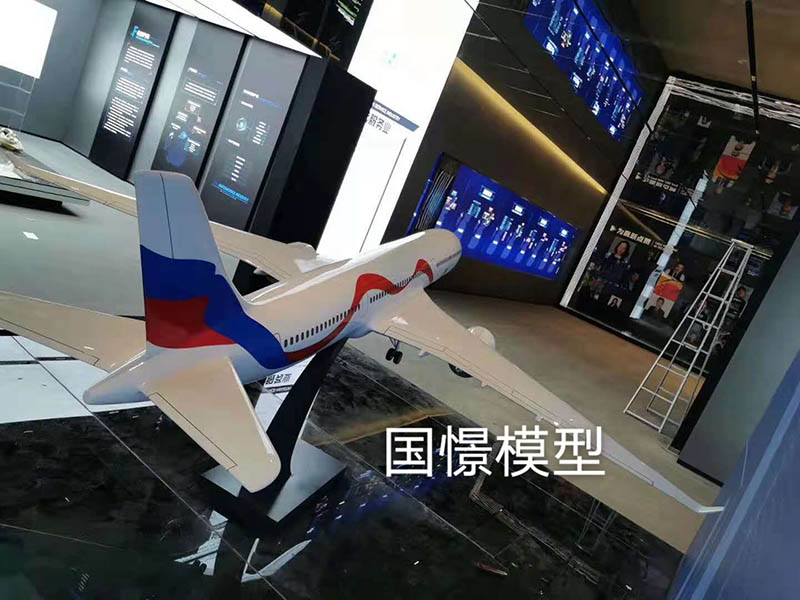 文县飞机模型