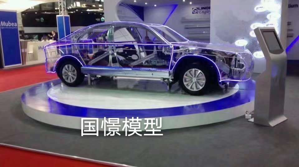 文县透明车模型